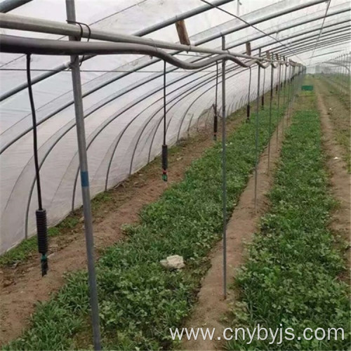 Vegetable greenhouse spray system